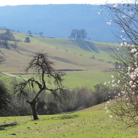 Haus Sueskewiet Hébergement de vacances Peffingen