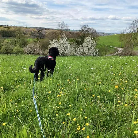 Haus Sueskewiet بيت للعطل *