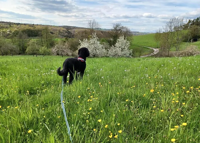 Haus Sueskewiet 別荘 *